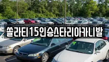 충북 단양군 적성면 렌트카 전문 쏠라티15인승스타리아카니발