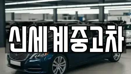 충북 단양군 적성면 중고차 전문 신세계중고차