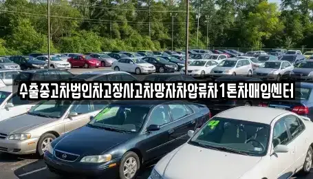 충북 단양군 적성면 중고차매입 전문 수출중고차법인차고장사고차망자차압류차1톤차매입센터