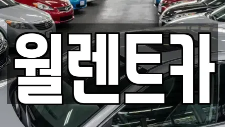 충북 음성군 삼성면 렌트카 전문 월렌트카