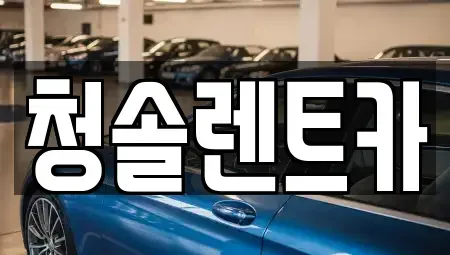 충북 음성군 삼성면 렌트카 전문 청솔렌트카