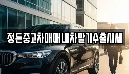 충북 음성군 삼성면 중고차 전문 정든중고차매매내차팔기수출시세