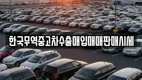 충북 음성군 삼성면 중고차매입 전문 한국무역중고차수출매입매매판매시세