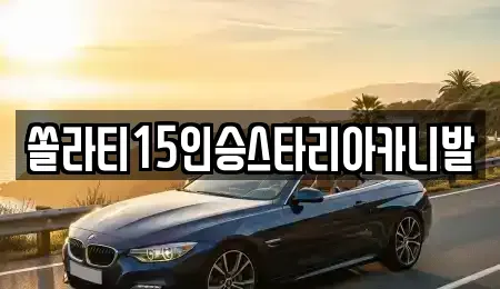 충북 제천시 남천동 렌트카 전문 쏠라티15인승스타리아카니발