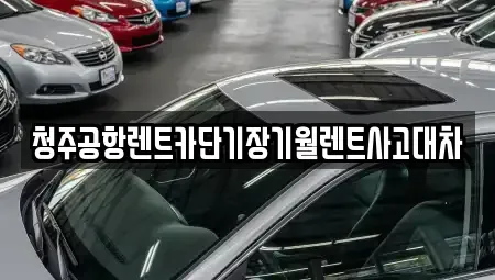 충북 청주시 상당구 산성동 장기렌트카 전문 청주공항렌트카단기장기월렌트사고대차