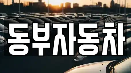 충북 청주시 상당구 산성동 중고차 전문 동부자동차