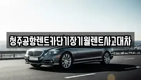 충북 청주시 상당구 월오동 단기렌트카 전문 청주공항렌트카단기장기월렌트사고대차