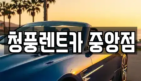 충북 청주시 상당구 월오동 렌트카 전문 청풍렌트카 중앙점