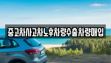 충북 청주시 상당구 탑동 중고차매입 전문 중고차사고차노후차량수출차량매입