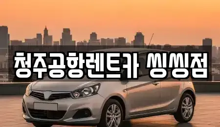 충북 청주시 청원구 사천동 렌트카 전문 청주공항렌트카 씽씽점