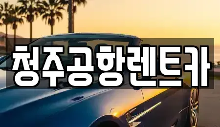 충북 청주시 청원구 사천동 렌트카 전문 청주공항렌트카