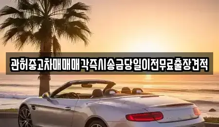 충북 청주시 청원구 사천동 중고차 전문 관허중고차매매매각즉시송금당일이전무료출장견적