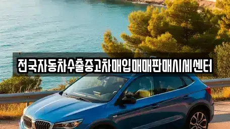 충북 청주시 청원구 사천동 중고차 전문 전국자동차수출중고차매입매매판매시세센터