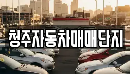충북 청주시 청원구 사천동 중고차매매 전문 청주자동차매매단지