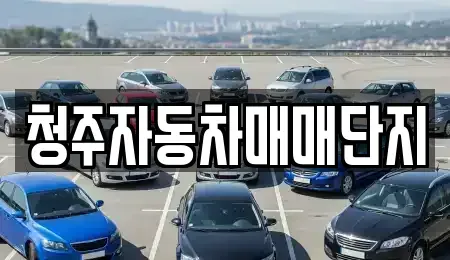 충북 청주시 청원구 오동동 중고차 전문 청주자동차매매단지