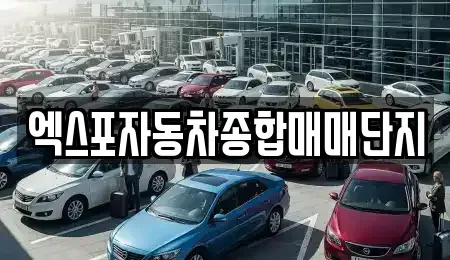 충북 청주시 청원구 오동동 중고차매매 전문 엑스포자동차종합매매단지