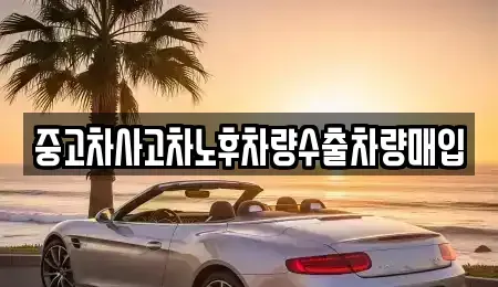 충북 청주시 청원구 오동동 중고차매입 전문 중고차사고차노후차량수출차량매입
