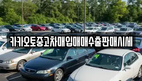 충북 청주시 청원구 오동동 중고차매입 전문 카카오토중고차매입매매수출판매시세