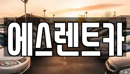충북 청주시 청원구 오창읍 렌트카 전문 에스렌트카