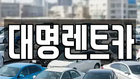 충북 청주시 청원구 주중동 렌트카 전문 대명렌트카