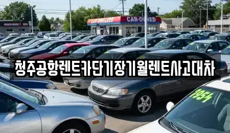 충북 청주시 청원구 주중동 장기렌트카,중고차,렌트카,단기렌트카,중고차매입,중고차매매