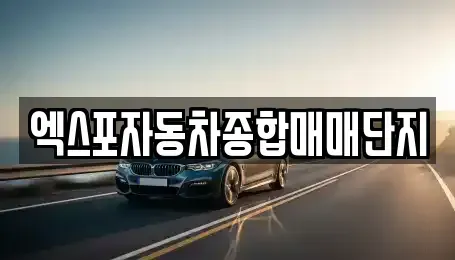 충북 청주시 청원구 주중동 중고차 전문 엑스포자동차종합매매단지