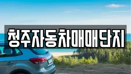 충북 청주시 청원구 주중동 중고차 전문 청주자동차매매단지