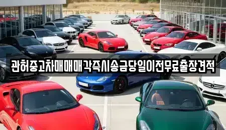 충북 청주시 흥덕구 가경동 중고차매매 전문 관허중고차매매매각즉시송금당일이전무료출장견적