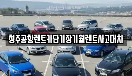 충북 청주시 흥덕구 상신동 렌트카,단기렌트카,장기렌트카,중고차,중고차매매,중고차매입