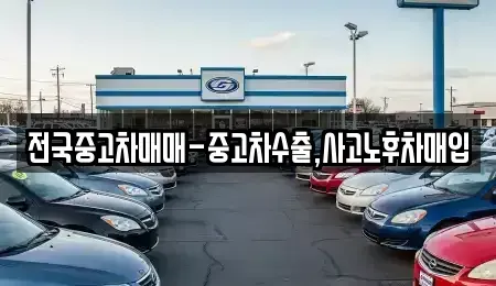 충북 청주시 흥덕구 상신동 중고차 전문 전국중고차매매-중고차수출,사고노후차매입
