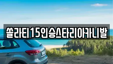 충북 충주시 앙성면 렌트카 전문 쏠라티15인승스타리아카니발