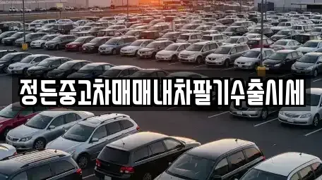 충북 충주시 앙성면 중고차 전문 정든중고차매매내차팔기수출시세