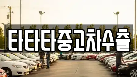 충북 충주시 앙성면 중고차 전문 타타타중고차수출