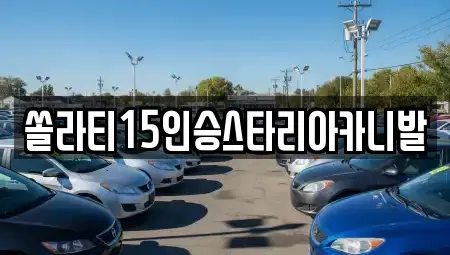 충북 충주시 용산동 렌트카 전문 쏠라티15인승스타리아카니발