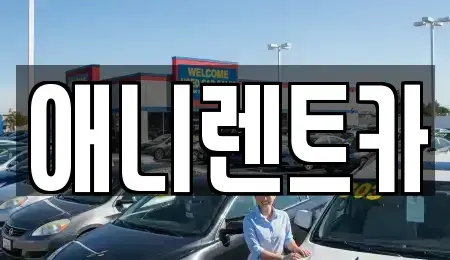 충북 충주시 용산동 렌트카 전문 애니렌트카