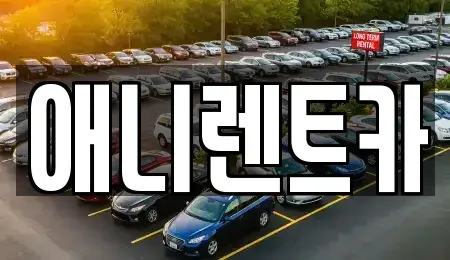 충북 충주시 충인동 렌트카 전문 애니렌트카