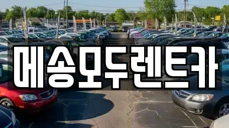 충청남도 공주시 교동 렌트카 전문 메송모두렌트카