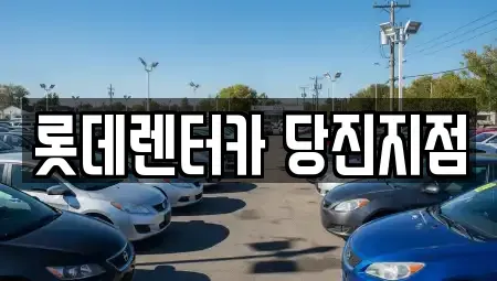 충청남도 당진시 단기렌트카 전문 롯데렌터카 당진지점