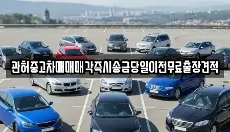 충청남도 당진시 우강면 중고차 전문 관허중고차매매매각즉시송금당일이전무료출장견적