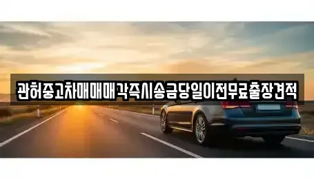충청남도 당진시 원당동 중고차 전문 관허중고차매매매각즉시송금당일이전무료출장견적