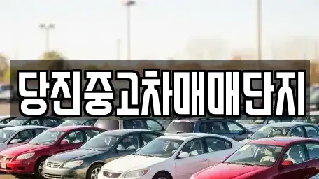 충청남도 당진시 중고차매매,단기렌트카,중고차매입,장기렌트카,중고차,렌트카