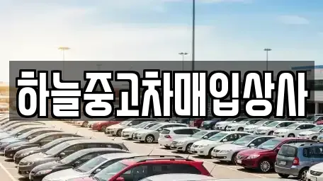 충청남도 당진시 중고차매입 전문 하늘중고차매입상사