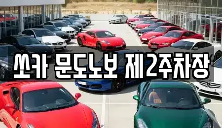 충청남도 보령시 궁촌동 렌트카 전문 쏘카 문도노보 제2주차장