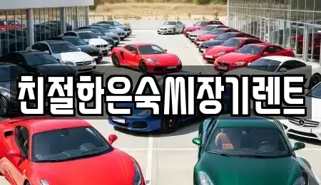 충청남도 보령시 궁촌동 렌트카 전문 친절한은숙씨장기렌트