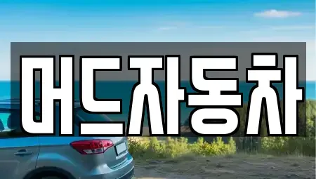 충청남도 보령시 궁촌동 중고차 전문 머드자동차