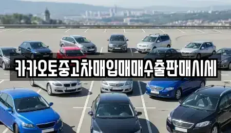 충청남도 아산시 신인동 중고차매입 전문 카카오토중고차매입매매수출판매시세