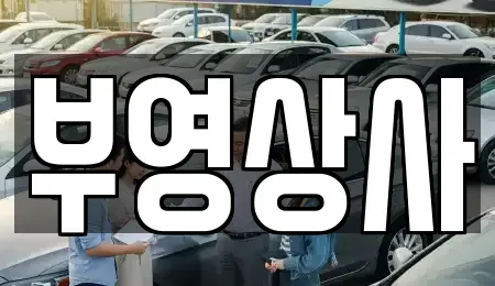충청남도 천안시 서북구 성환읍 중고차,렌트카,중고차매입,중고차매매,장기렌트카,단기렌트카
