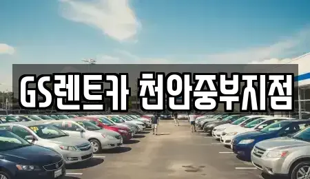 충청남도 천안시 서북구 신당동 렌트카 전문 GS렌트카 천안중부지점