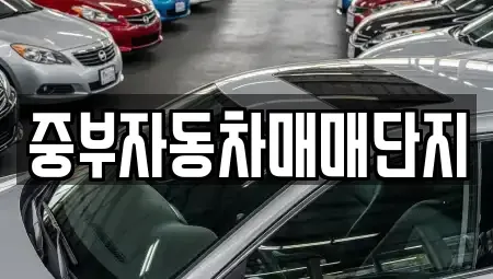 충청남도 천안시 서북구 신당동 중고차매매 전문 중부자동차매매단지