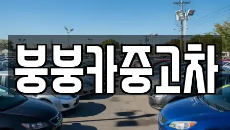 충청북도 단양군 가곡면 중고차 전문 붕붕카중고차
